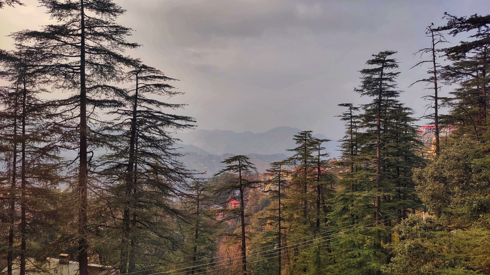 4 star hotels in shimla