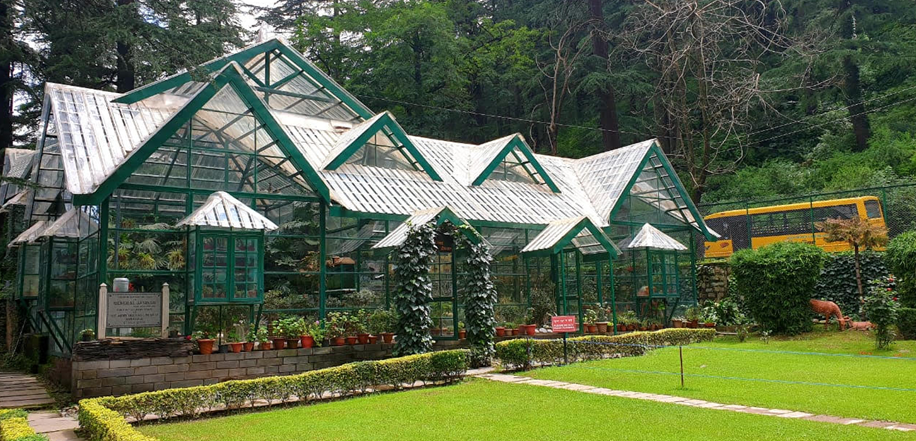 best place to stay near shimla